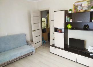 Сдается в аренду квартира студия, 29 м2, Карелия, площадь Кирова, 4