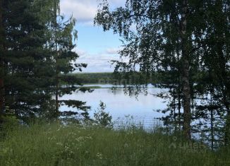 Продажа участка, 23.33 сот., Костромская область