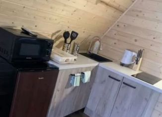 Сдаю в аренду дом, 50 м2, посёлок Рускеала, Сортавальское шоссе, 36