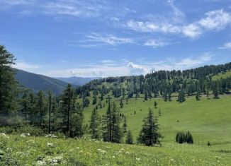 Продажа земельного участка, 203.3 сот., Республика Алтай, улица Кучияк