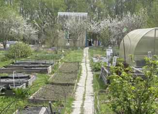 Продам дачу, 15 м2, Хабаровский край