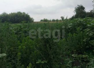 Продам участок, 30 сот., деревня 2-е Безлесное, деревня 2-е Безлесное, 8
