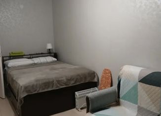 Аренда 1-комнатной квартиры, 32 м2, Карелия, Новый переулок, 8