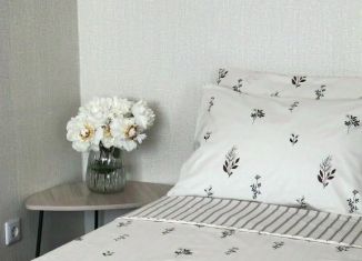 Однокомнатная квартира в аренду, 32 м2, Карелия, улица Победы, 10