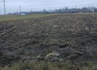 Продажа земельного участка, 20 сот., Курская область
