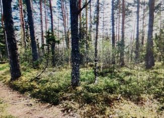 Продается участок, 400 сот., Псковская область
