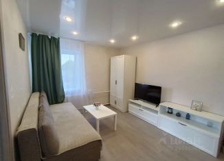Сдача в аренду 1-комнатной квартиры, 30 м2, Псковская область, улица Волкова, 2