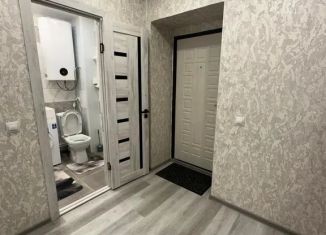 Сдается в аренду 1-комнатная квартира, 36 м2, село Чигири, улица Василенко, 3/4