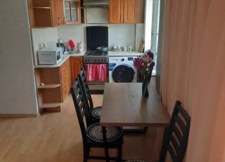 Сдается в аренду однокомнатная квартира, 40 м2, Карелия, улица Рудакова, 4