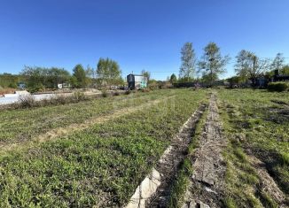 Продам участок, 8.1 сот., Хабаровский край