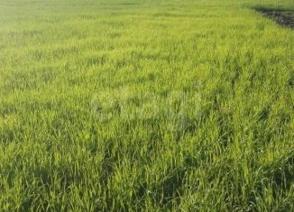 Продаю участок, 20 сот., Курская область