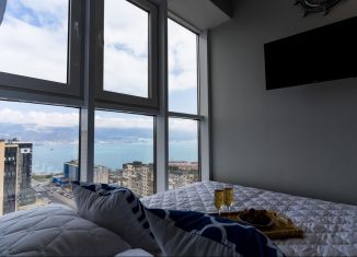 Аренда однокомнатной квартиры, 44 м2, Краснодарский край, улица Энгельса, 93