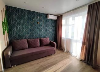 Сдается квартира студия, 23 м2, село Чигири, улица Василенко, 5