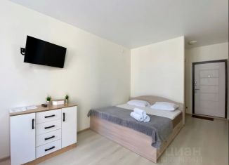 Аренда квартиры студии, 30 м2, Владивосток, улица Нейбута, 4А, Ленинский район