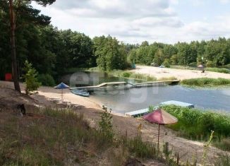 Участок на продажу, 100 сот., Тамбовская область, улица Гусева поляна