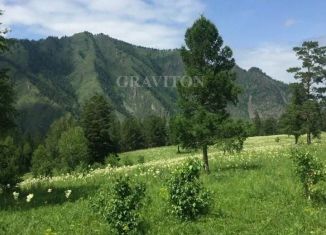 Продам земельный участок, 40 сот., Республика Алтай, Бешпекская улица, 24
