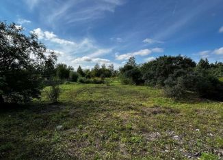 Продам дом, 10 м2, Хабаровский край, СНТ 19 Клетка, 118