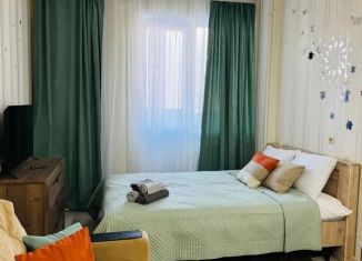 Сдается квартира студия, 25 м2, Мурино, бульвар Менделеева, 3