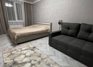 Однокомнатная квартира в аренду, 41 м2, Дагестан, переулок Карла Маркса, 98к2