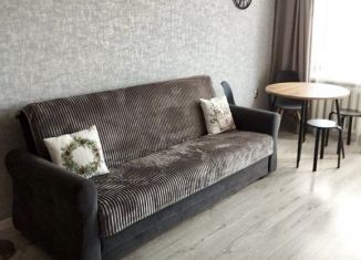 Сдача в аренду 1-ком. квартиры, 45 м2, Карелия, улица Победы, 15