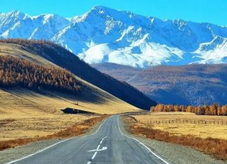 Продам земельный участок, 82 сот., село Акташ, улица Карла Маркса