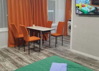 Сдам 1-комнатную квартиру, 29 м2, Хакасия, рабочий посёлок Черёмушки, 8