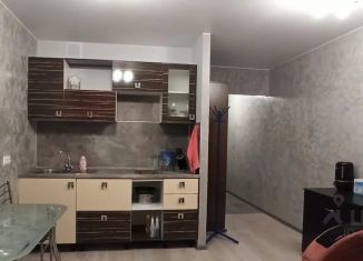 Продажа квартиры студии, 23.1 м2, Мурино, улица Шувалова, 14