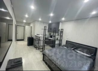 Сдам в аренду 1-комнатную квартиру, 28 м2, Зеленодольск, проспект Строителей, 10