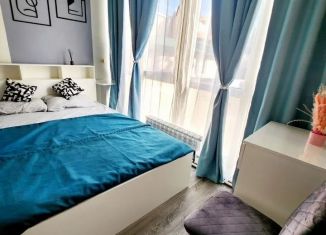 Продается двухкомнатная квартира, 45 м2, Сочи, улица Дмитриевой, 5, микрорайон Светлана
