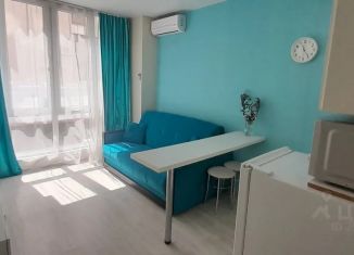 Квартира в аренду студия, 22 м2, Сочи, улица Чкалова, 13, микрорайон Чкаловский