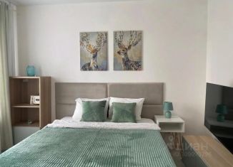 Сдам 1-комнатную квартиру, 28 м2, Ленинградская область, улица Чехова, 43