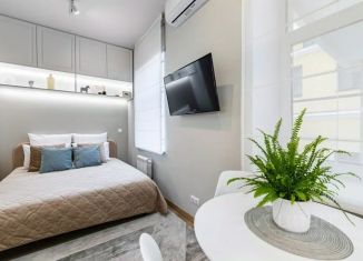 1-ком. квартира в аренду, 23 м2, Казань, улица Карла Маркса, 11А