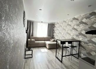 Сдача в аренду 1-ком. квартиры, 25 м2, Ленинградская область, улица Сторожевой Башни, 9