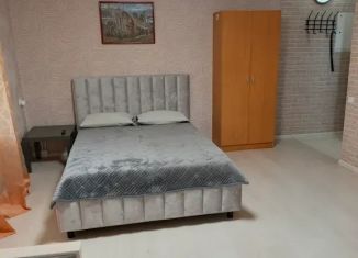 Сдается 1-ком. квартира, 31 м2, Татарстан, улица Мусы Джалиля, 30