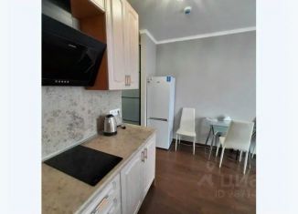 Сдам 1-ком. квартиру, 25 м2, Московская область, Молодёжная улица, 61