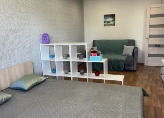 Сдаю в аренду 1-комнатную квартиру, 30 м2, Казань, проспект Ямашева, 23, Московский район