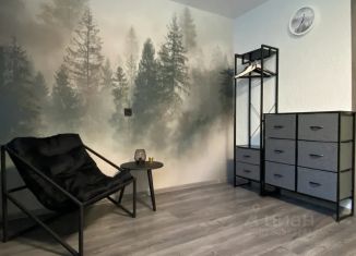 Сдаю 1-комнатную квартиру, 30 м2, Ленинградская область, проспект Урицкого, 8