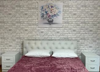 Аренда однокомнатной квартиры, 50 м2, Сочи, Малая улица, 2Б