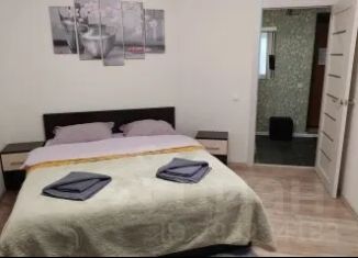 Двухкомнатная квартира в аренду, 50 м2, Сосновый Бор, проспект Героев, 48