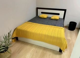 Сдаю в аренду 1-ком. квартиру, 35 м2, Татарстан, улица Хирурга Нечаева, 16