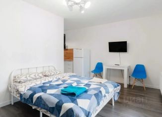 Сдается 1-комнатная квартира, 30 м2, Ленинградская область, Гаражный проезд, 27к2