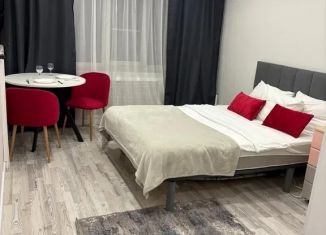 Сдаю квартиру студию, 21 м2, Казань, Базарная улица, 2