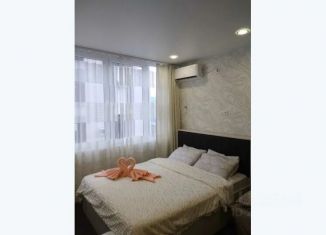 Сдается в аренду 1-ком. квартира, 22 м2, Сочи, улица Чкалова, 13, микрорайон Чкаловский