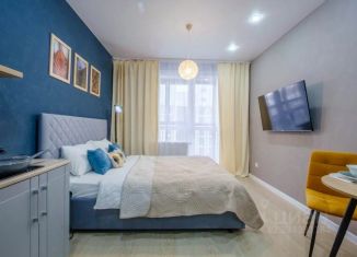 Сдаю в аренду 1-ком. квартиру, 25 м2, Казань, улица Четаева, 43А