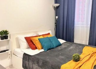 Сдаю в аренду 1-комнатную квартиру, 24 м2, Балашиха, улица Яганова, 9