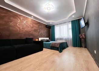 1-ком. квартира в аренду, 47 м2, Московская область, улица Струве, 9
