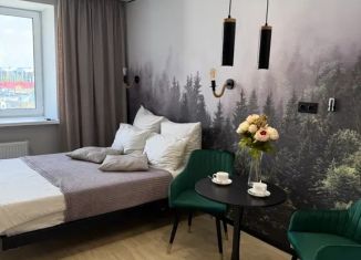 Аренда 1-ком. квартиры, 20 м2, Зеленодольск
