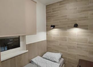 Сдам в аренду двухкомнатную квартиру, 30 м2, Ленинградская область, квартал Судоверфь, 12
