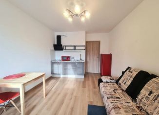 Аренда квартиры студии, 20.2 м2, Санкт-Петербург, Советский проспект, 2, муниципальный округ Рыбацкое