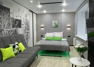 Сдается в аренду 1-ком. квартира, 35 м2, Зеленодольск